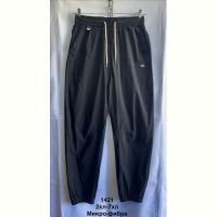 Купить Штаны спорт Minh 1421 black на obuv-plus.com.ua