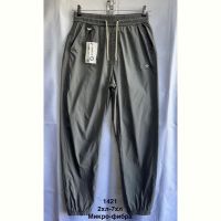 Купить Штаны спорт Minh 1421 grey на obuv-plus.com.ua