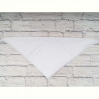 Купить Платок Shawls P147 beige на obuv-plus.com.ua