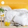 Купить Одеяло всесезонное 175х210 см двуспальное Air Dream Exclusive IDEIA двойное супер теплое дабл антиаллергенное на obuv-plus.com.ua