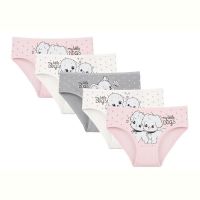 Купить Трусы Disneyopt kids DS312-4171PB212 mix (1-2) на obuv-plus.com.ua