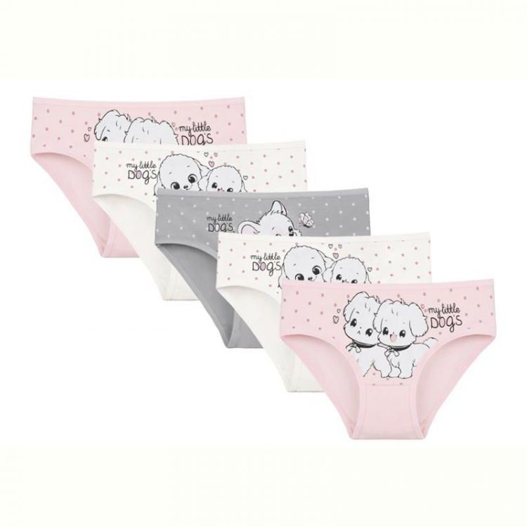 Купить Трусы Disneyopt kids DS312-4171PB212 mix (1-2) на obuv-plus.com.ua