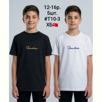 Купить Футболка AMZ T10-3 black на obuv-plus.com.ua