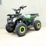 Купить SN-A58 Дитячий квадроцикл ATV 49cc бензин на obuv-plus.com.ua