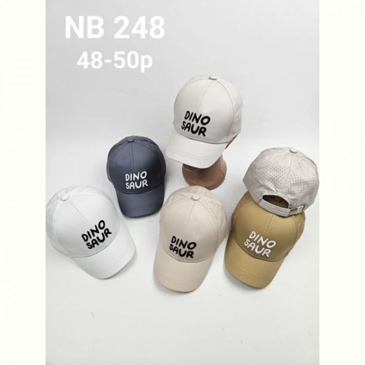 Купить Кепка Street Cap NB248 mix на obuv-plus.com.ua