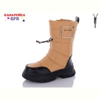 Купить Ботинки GFB S2281-5 на obuv-plus.com.ua