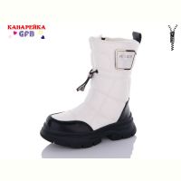 Купить Ботинки GFB S2281-3 на obuv-plus.com.ua