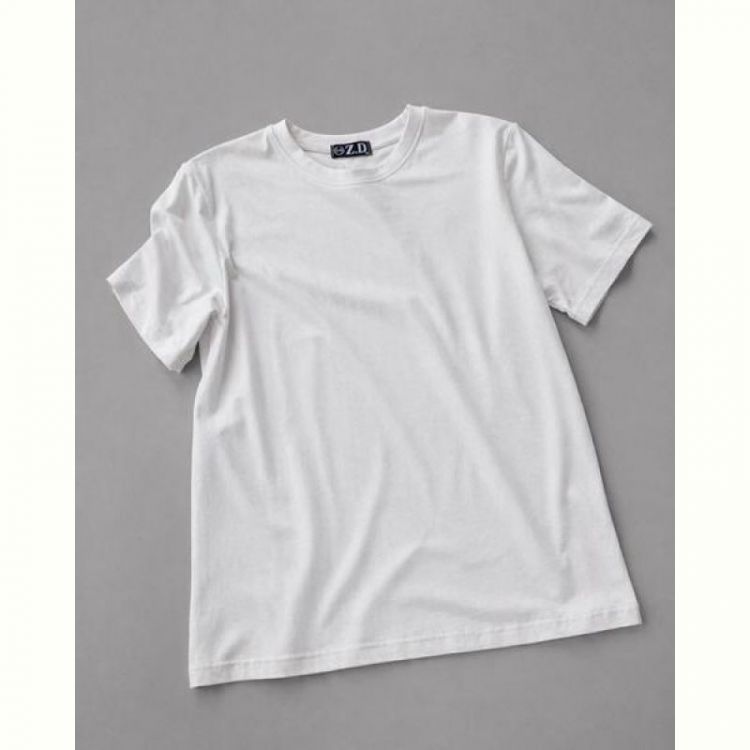 Купить Футболка Zalov ZW1654 white на obuv-plus.com.ua