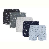 Купить Трусы Disneyopt kids 758112 mix (6-7) на obuv-plus.com.ua