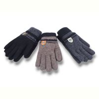 Купить Перчатки YLZL 6011 mix на obuv-plus.com.ua