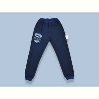 Купить Штаны спорт Kir15 167-28 blue на obuv-plus.com.ua