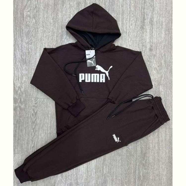 Купить Костюм спорт MirWear MR684-305-3 brown на obuv-plus.com.ua