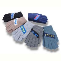 Купить Перчатки YLZL 6003 mix на obuv-plus.com.ua