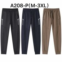 Купить Штаны спорт Ale-Ate A208P brown на obuv-plus.com.ua