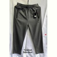 Купить Штаны спорт Minh 2637 grey на obuv-plus.com.ua