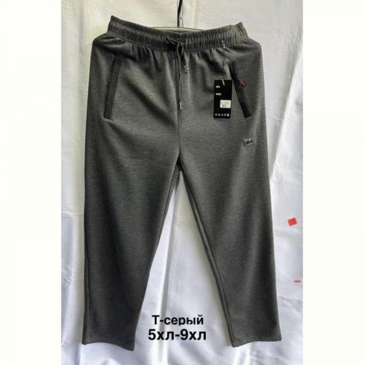 Купить Штаны спорт Minh 2637 grey на obuv-plus.com.ua