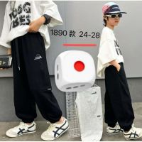 Купить Штаны спорт Фунтик 1890 grey на obuv-plus.com.ua