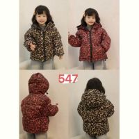Купить Куртка Farbique 547 brown на obuv-plus.com.ua