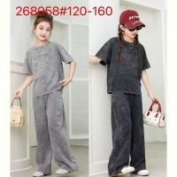 Купить Костюм спорт Delfinka 268058 l.grey на obuv-plus.com.ua