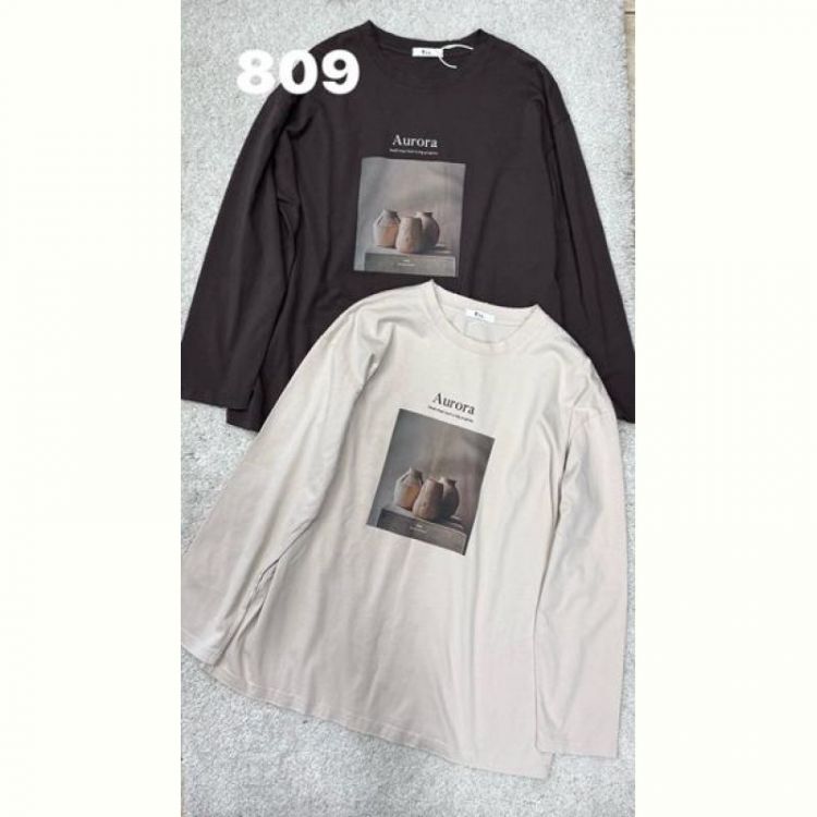 Купить Свитер DIVO 809 l.beige на obuv-plus.com.ua