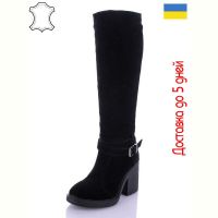 Купить Сапоги Arto 850 ч-з на obuv-plus.com.ua