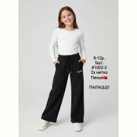 Купить Штаны спорт AMZ 1002-2 black на obuv-plus.com.ua