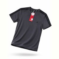 Купить Футболка Alex Clothes 14516 grey на obuv-plus.com.ua
