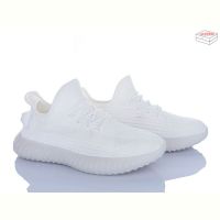 Купить Кроссовки Stilli F05-5 на obuv-plus.com.ua
