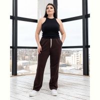Купить Штаны спорт AZNA Б51 brown на obuv-plus.com.ua