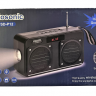Купить Радіо ліхтарик SD-P12 на obuv-plus.com.ua