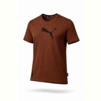 Купить Футболка Alex Clothes 14418 brown на obuv-plus.com.ua