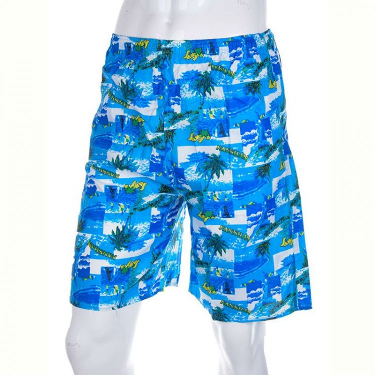 Купить Шорты Meisty 777-13 blue на obuv-plus.com.ua