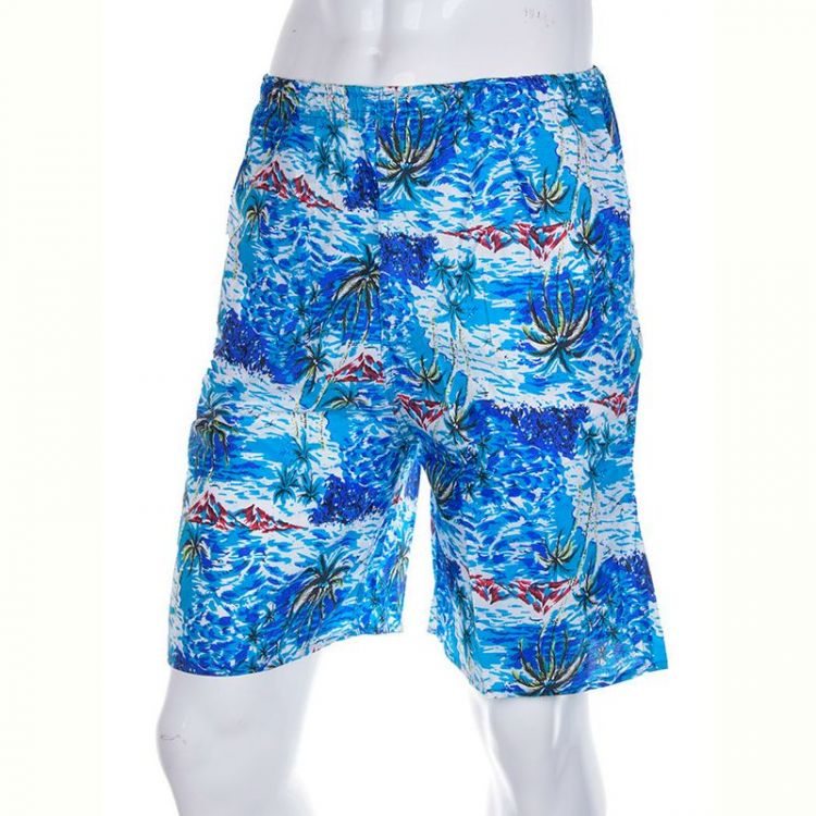 Купить Шорты Meisty 777-12 blue на obuv-plus.com.ua