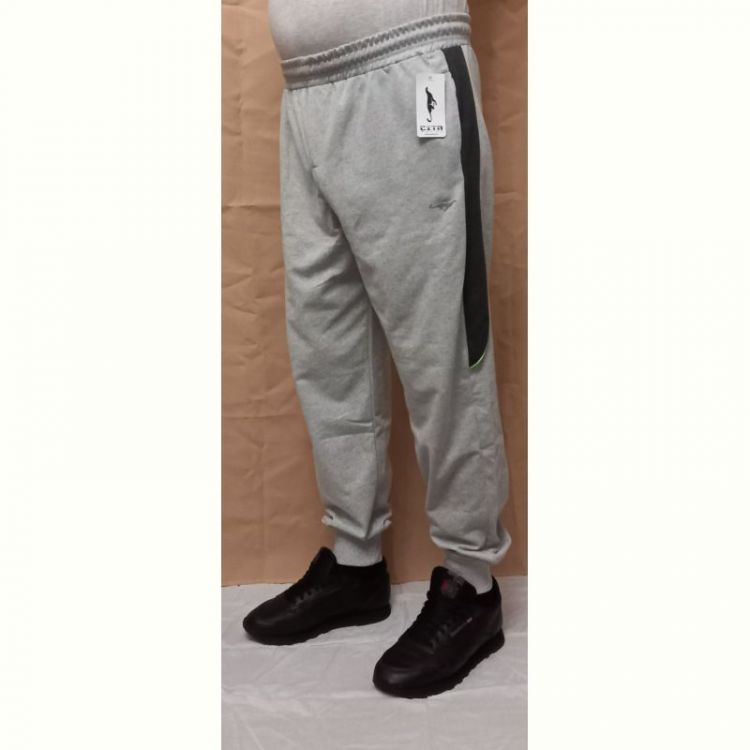 Купить Штаны спорт Red Hat clothes 1689 l.grey на obuv-plus.com.ua