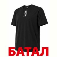Купить Футболка Alex Clothes 14350 black на obuv-plus.com.ua