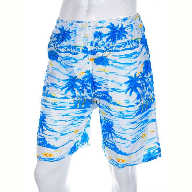 Купить Шорты Meisty 777-11 blue на obuv-plus.com.ua