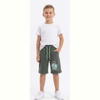Купить Шорты Malibu2 1550 khaki на obuv-plus.com.ua