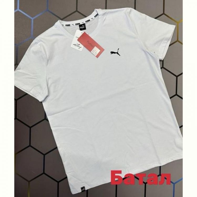Купить Футболка Alex Clothes 13430 white на obuv-plus.com.ua
