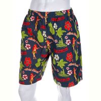 Купить Шорты Meisty 120540 blue на obuv-plus.com.ua