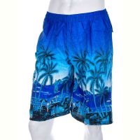 Купить Шорты Meisty 0081-7 blue на obuv-plus.com.ua