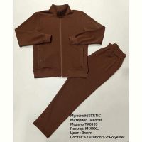 Купить Костюм спорт AZT 0183 brown на obuv-plus.com.ua