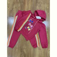 Купить Костюм спорт RSV 253 pink на obuv-plus.com.ua
