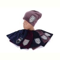 Купить Шапка Mabi AS8-4 mix на obuv-plus.com.ua