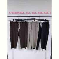 Купить Бриджи Saint Wish K2333 brown на obuv-plus.com.ua
