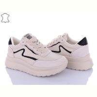 Купить Кроссовки Itts MT67-6 на obuv-plus.com.ua