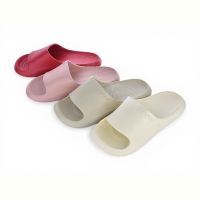Купить Шлепанцы Sanlin2 8712 mix на obuv-plus.com.ua