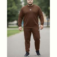 Купить Костюм спорт Zalov ZW1212 brown на obuv-plus.com.ua