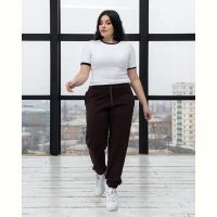 Купить Штаны спорт AZNA Б53 brown на obuv-plus.com.ua