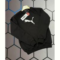 Купить Свитер Alex Clothes 14029 black на obuv-plus.com.ua