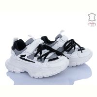 Купить Кроссовки Stilli TX170-86 шкіра піна на obuv-plus.com.ua